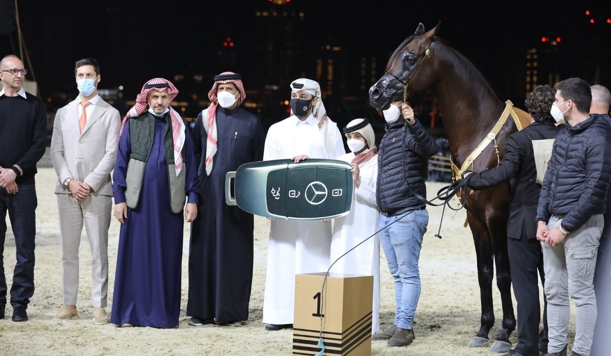 Second Katara International Arabian Horse Festival receives 'Diamond Sponsor' consecutively 